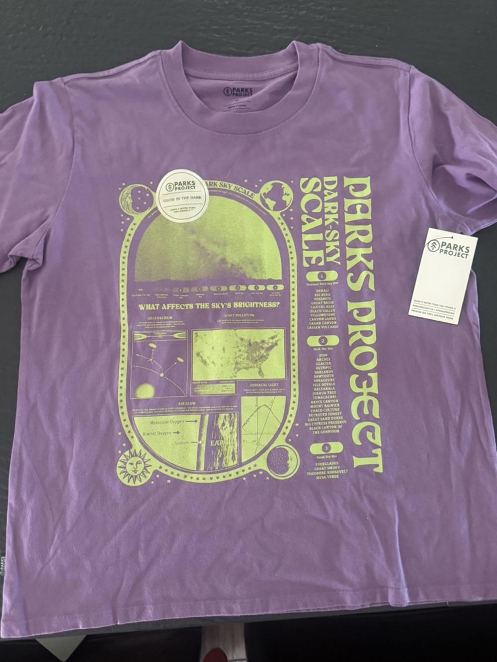 Dark Sky Scale Tee (Purple) – NWT